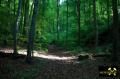 Neunbrunnental nahe dem Badberg bei Oberbergen im Kaiserstuhl, Baden-Württemberg, (D) (3) 10. Mai 2015 (Tinguait-Aufschluß).JPG